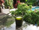 Redwood Forest Luxury One Wick Candle, Essential Oils and Soy Wax