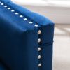 Modern Velvet Armchair Tufted Button Accent Chair Club Chair with Steel Legs for Living Room Bedroom; Navy